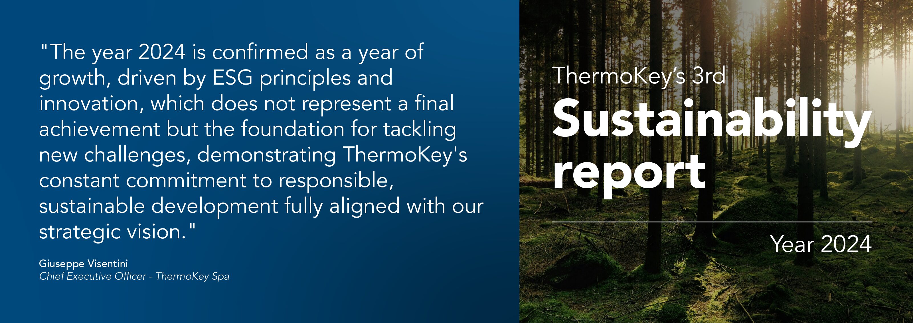 Visual WEB bil sost ENG